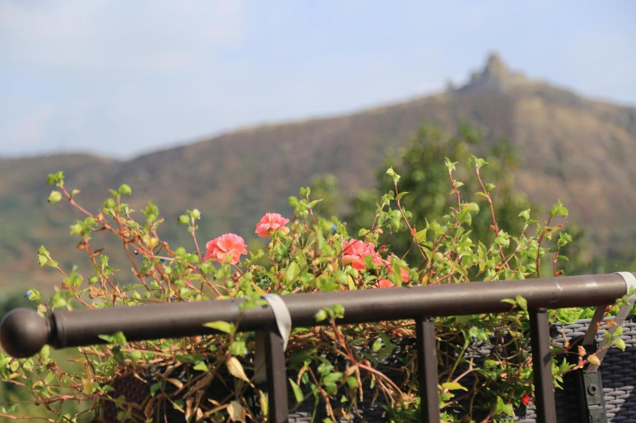 Tatin - Hotel & Cafe In Mtsʼkhetʼa エクステリア 写真